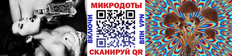 Псилоцибиновые грибы Psilocybe  Невинномысск 